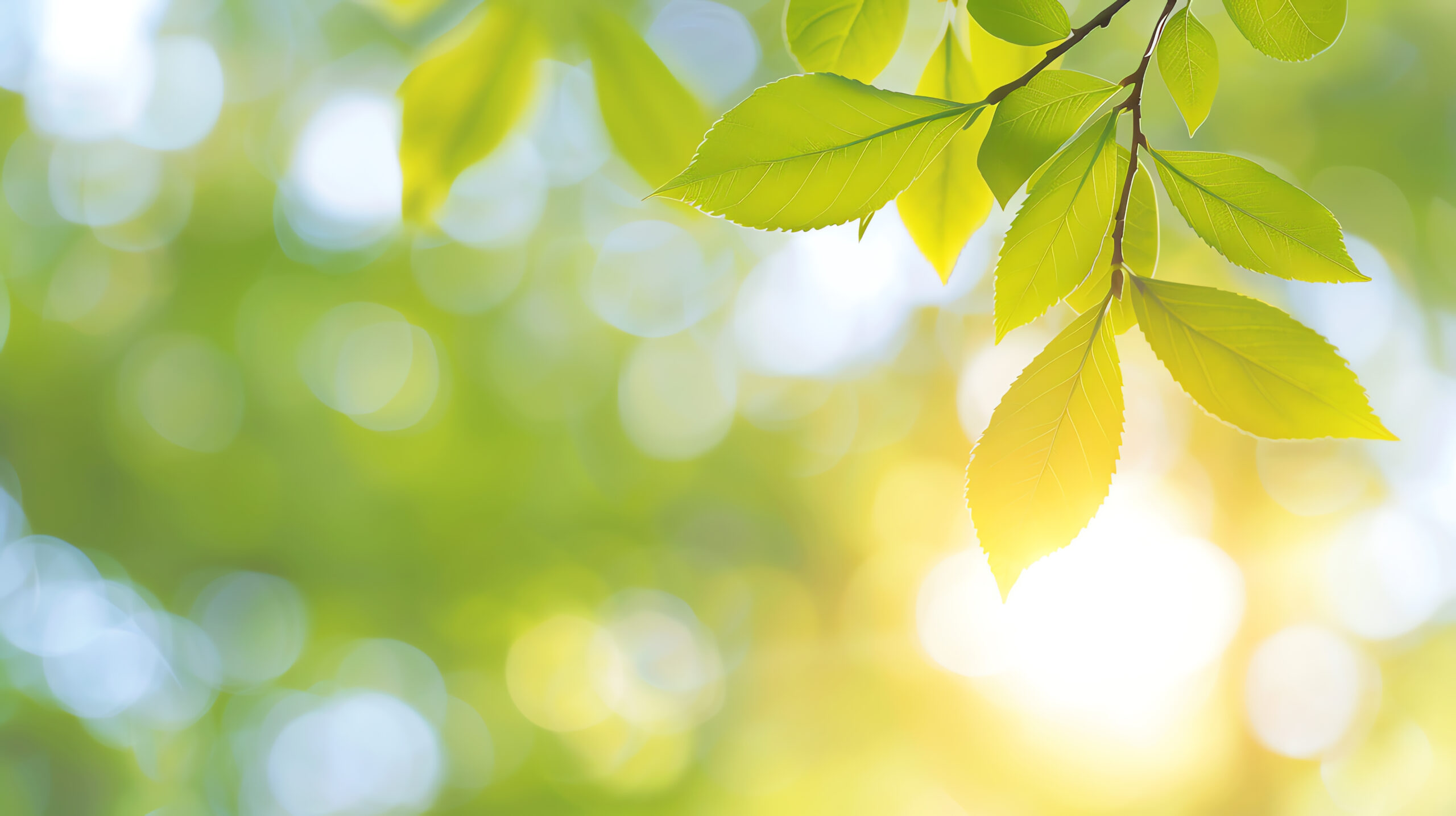 leaves and sunlight, ai generated
